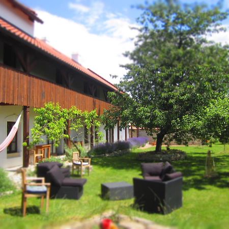 Luže 鸽舍壮丽女王旅馆酒店 外观 照片