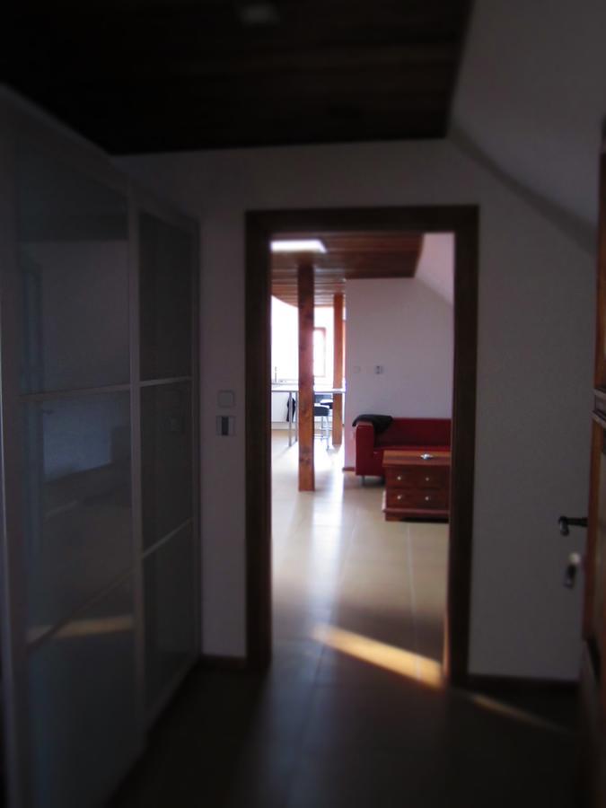 Luže 鸽舍壮丽女王旅馆酒店 外观 照片
