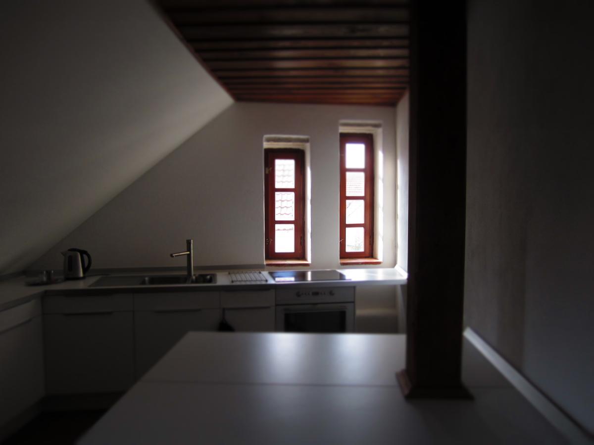 Luže 鸽舍壮丽女王旅馆酒店 外观 照片